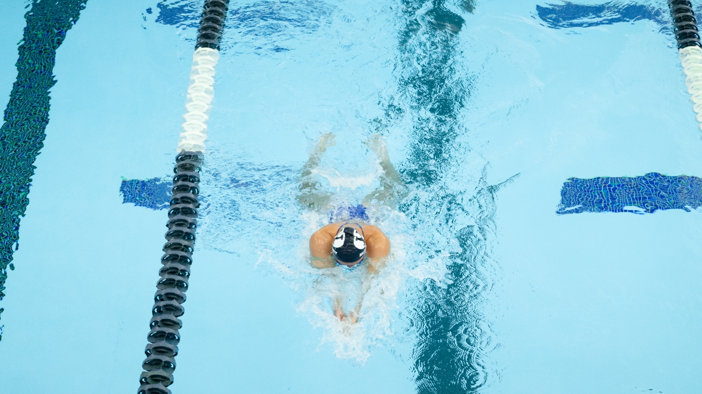 BYU Cougar swimming breaststroke
